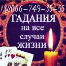 ������������� �������. ����. ��������. �������