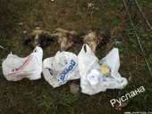 ������������� �������� � ������ ������ �����, ������� ����������� ��������� - ����������� 3