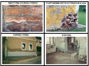 ������������� �������� ���� - ����������� 1