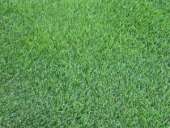 ������������� �������� ����� ���������. - ����������� 3