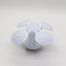 ������������� ���������� �����-����� BL-2029, 14�12�� / ������������� ����� �� �������� ������. - ����������� 2