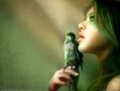 ������� � ����������: ������������� �����������