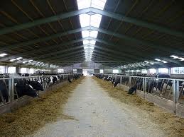 ������������� ����������� � �������. - ����������� 1