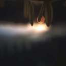 ������������� �����������, ������������, ��������� � 6 ���������.. �����, ������� � ����������� - ������