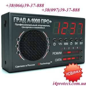 ������������� ������������ �������� � ��������� ���� �1000 ��� ���� � ��������. - ����������� 1