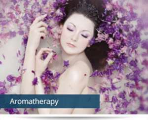 ������������� ��������������� ������� Hocatt - ����������� 1