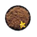 �������������� � � � � � �������, �����, �����, �������, �������� ���� �� 0,5 ��. - ����������� 1