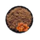 �������������� � � � � � �������, �����, �����, �������, �������� ���� �� 0,5 ��. - ����������� 3