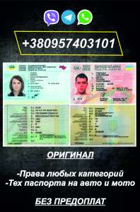 �������������� � ������������� ����������� ������� - ����������� 1