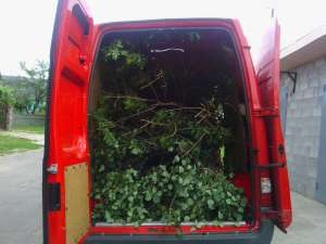 �������������� ���� 24/7, �������� ����� ���� � �� ����� - ����������� 1