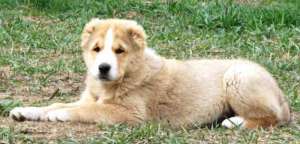 �������������� ����� ��� (������) �� ����� ������� ��������� - ����������� 1