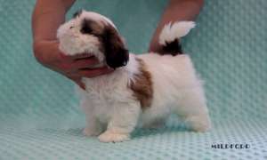 �������������� ����� ��-��� - ����������� 1