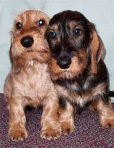 �������������� ����� - ����� � ������� - ����������� 1