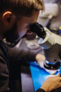 �������������� ������ Baby Tapiro 100 - ����������� 1