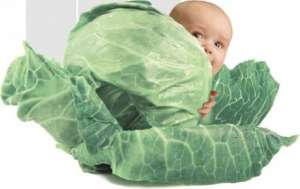 �������������� ������ ��� ��� - ����������� 1