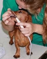 �������������� ������ ����� - ����������� 1