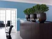 ������� � ����������: �������������� ������ �������� ��� ������ ����