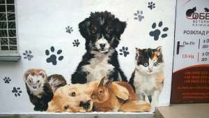 �������������� ������� ���� - ����������� 1