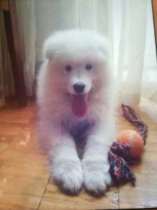 �������������� ������� ������. ��������� ��� - ����������� 1