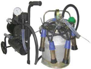 �������������� �������� �������� - ����������� 1