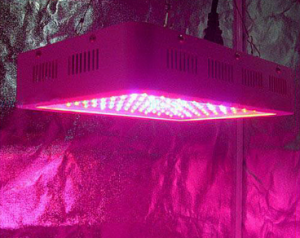 �������������� ���������� 300 �� � Wi-Fi ��� �������� - ����������� 1