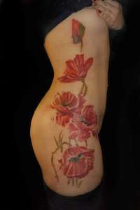 �������������� ���������� ���� - ����������� 1