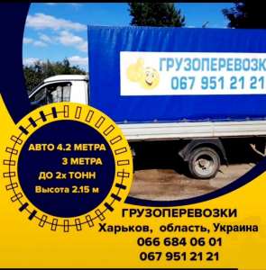 ��������������, ���������� ��������. �������, ������� - ����������� 1