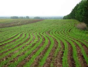 ��������������� � ����� - ����������� 1