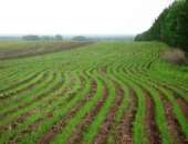 ������� � ����������: ��������������� � �����