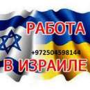 ������� � ����������: ��������������� � �������. ������.