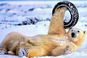 ������/����/����� �� � ������. - ����������� 1