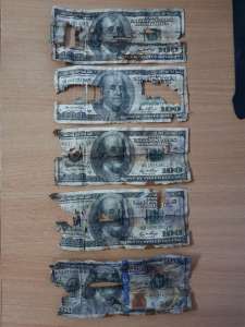 ��������������� ����. ���������. �������� - ����������� 1