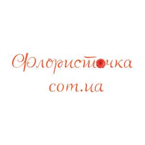 ��������-������� ������ � ��������� "�����������" - ����������� 1