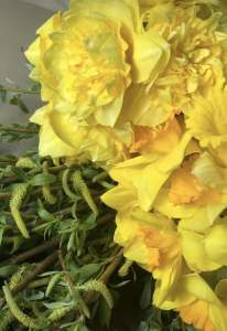 ��������������� ������ �� ����, ����������� - ����������� 1