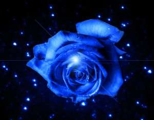 ��������������� ������� �� ������� - ����������� 1