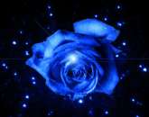 ������� � ����������: ��������������� ������� �� �������