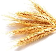 ��������������� ������� ������� (�����) 10 ����� - ����������� 1