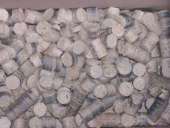 ��������������� ������� ����-����� ��� �������� - ����������� 2