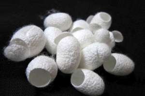 ��������������� �������� ����� (�����) 5 ����� - ����������� 1