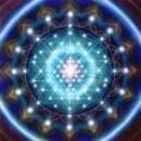 ��������������� - ���������� ������������ ��������