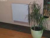 ������� � ����������: ���-������������ ������������ ���������� ��������