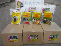 ��������������� �������������� ���� ��� ���� ��������� ������� ��� � ������� - ����������� 1