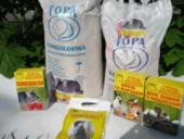 ��������������� �������������� ���� ��� ���� ��������� ������� ��� � ������� - ����������� 2