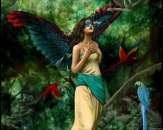 ������� � ����������: ��������,�������� �� ����,����� ��