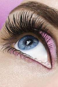 ���������������� ����, ������������ ������� ������ ��������������, ��������. - ����������� 1