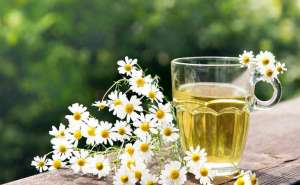 ���������������� ������� �����������, �������� �������� - ����������� 1