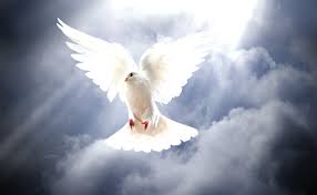 ���������������� ��������. ����� ������ - ����������� 1