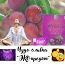 ������� � ����������: ���������������� ��������� illixian