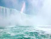 ������� � ����������: ����������������. ��������� online ���� ����� ����������