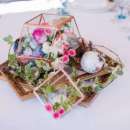 ���������������� ��������� ���������� ������� � �����. ���������, ����������� - ������